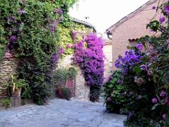 183 D23 BORMES LES MIMOSAS 1_000021